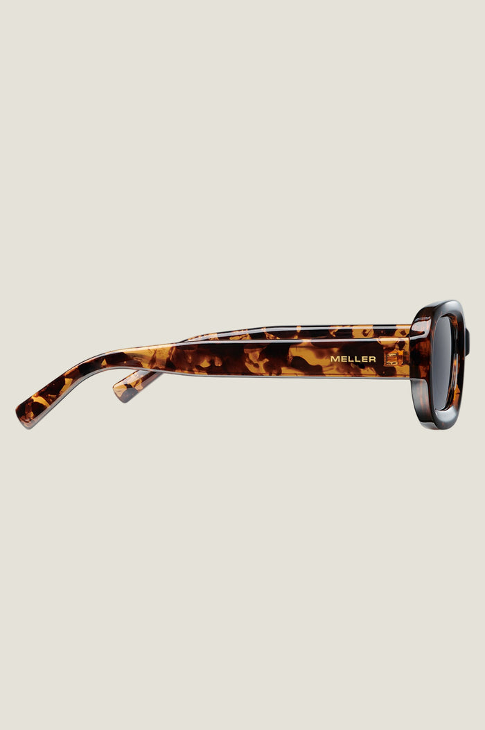 MELLER Dashi Sunglasses | Tortoiseshell - Aspiga