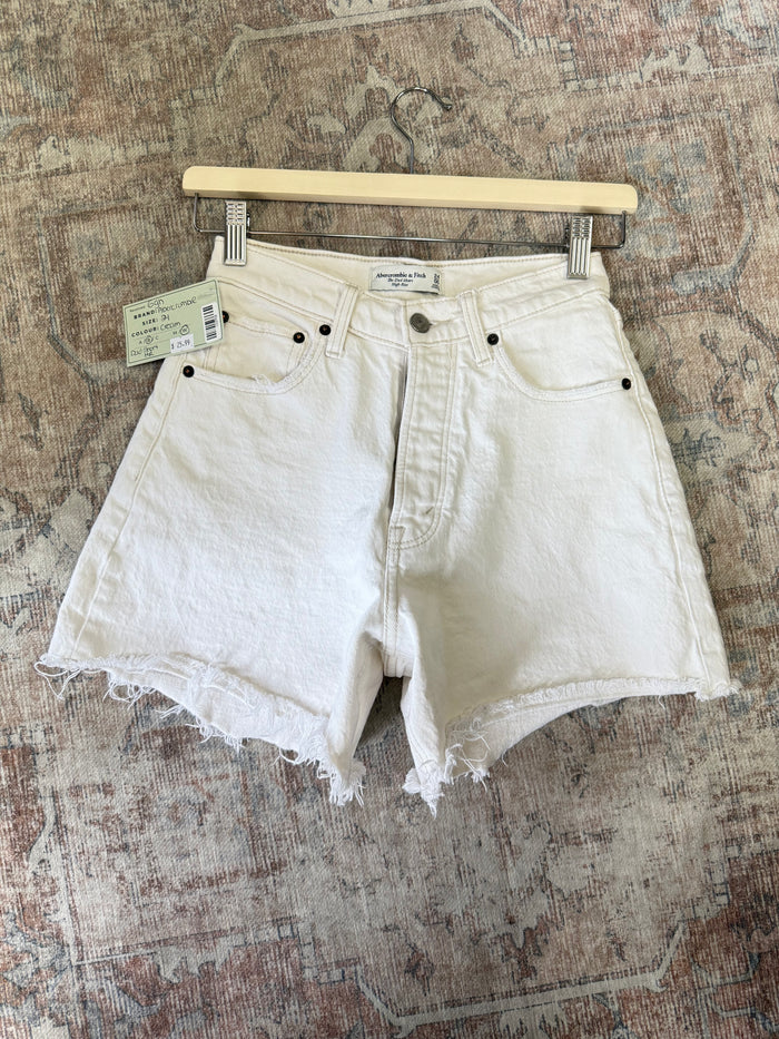 Abercrombie The Dad HR Shorts (24)