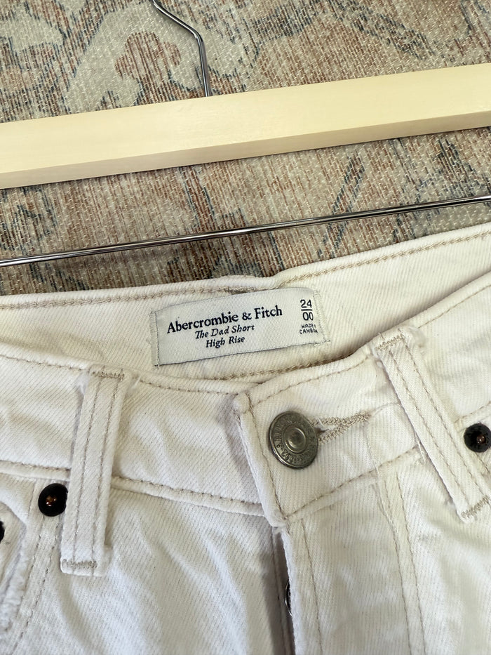 Abercrombie The Dad HR Shorts (24)