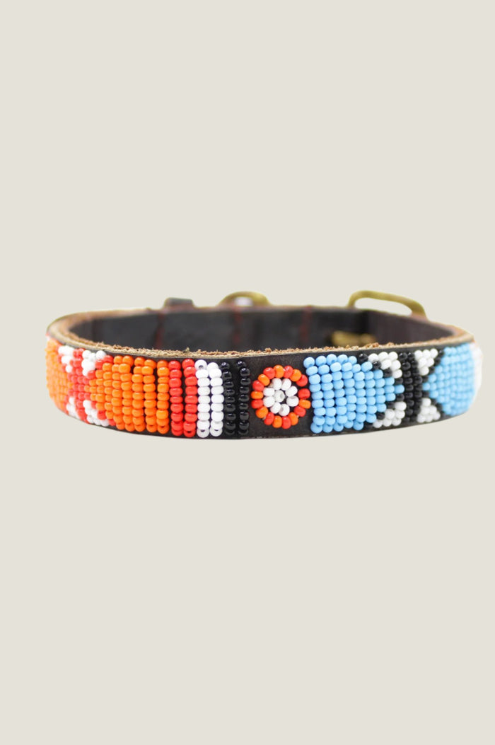 Arrow and Disc Dog Collar Thin | Multi - Aspiga