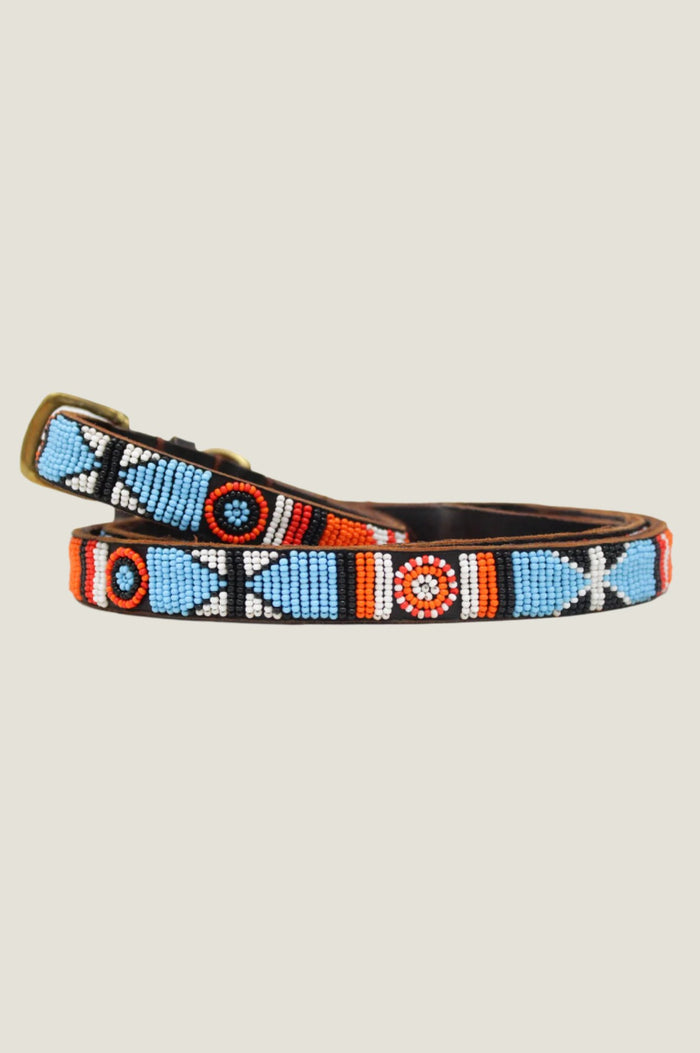 Arrow and Disc Dog Collar Thin | Multi - Aspiga