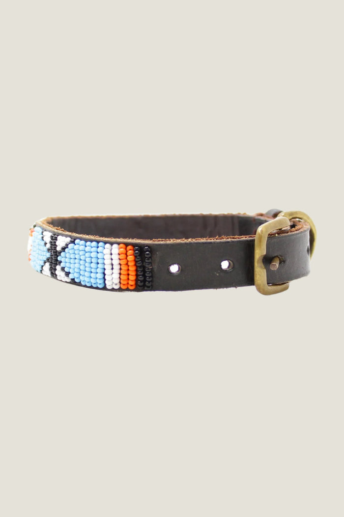 Arrow and Disc Dog Collar Thin | Multi - Aspiga