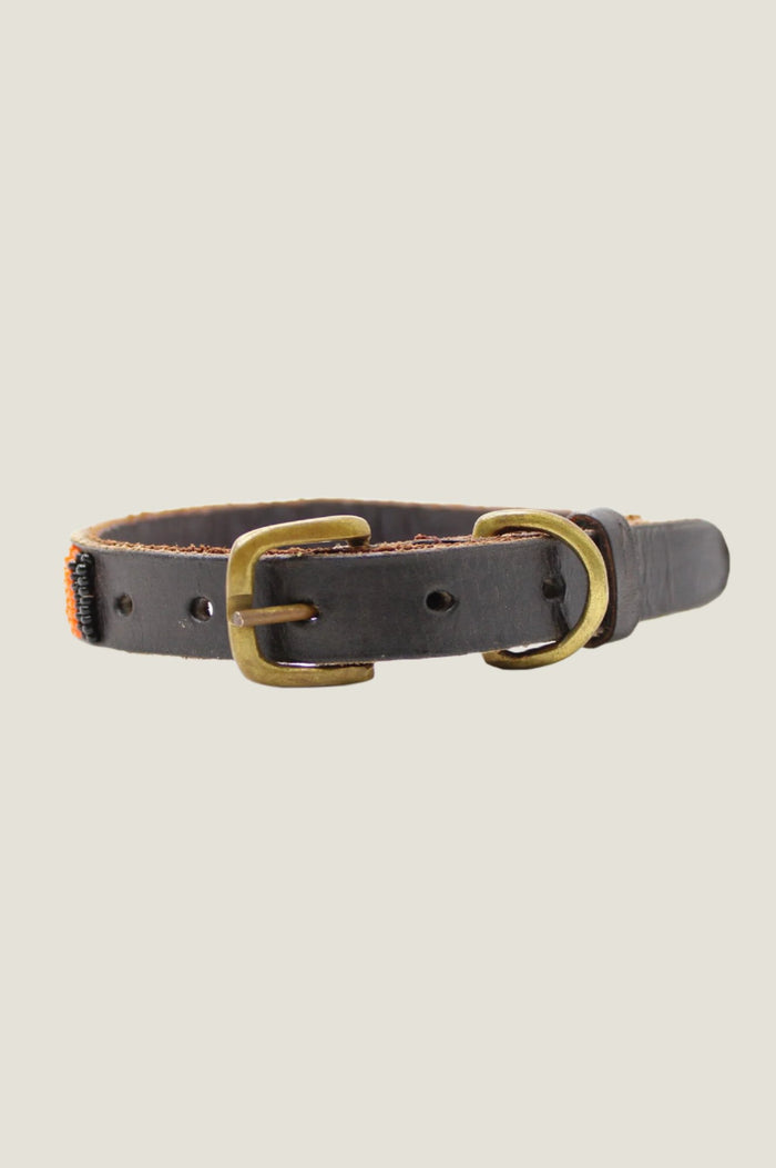 Arrow and Disc Dog Collar Thin | Multi - Aspiga