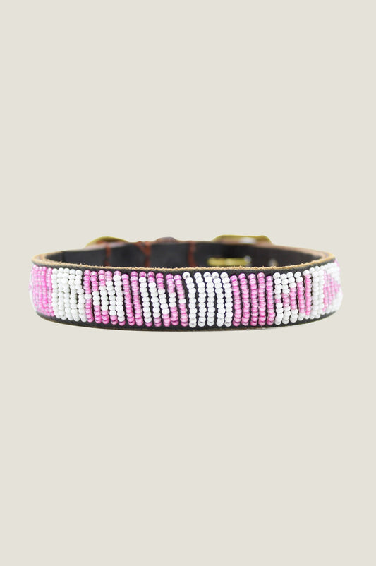 Arrow Dog Collar | Pink/White - Aspiga
