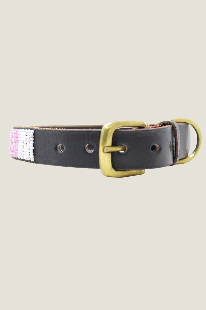 Arrow Dog Collar | Pink/White - Aspiga