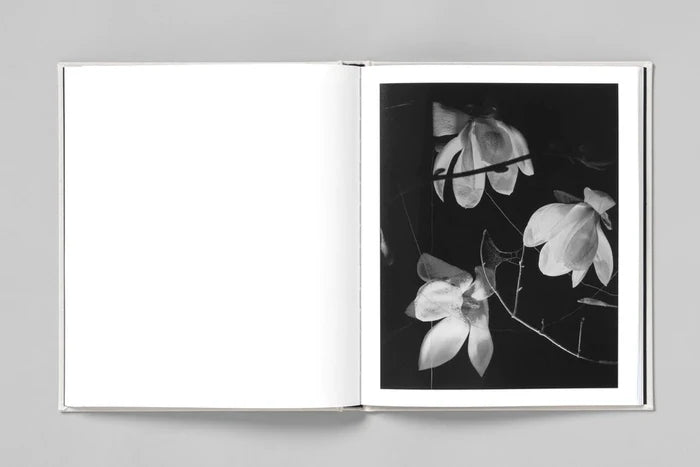 AT NIGHT GARDENS GROW - Paul Guilmoth