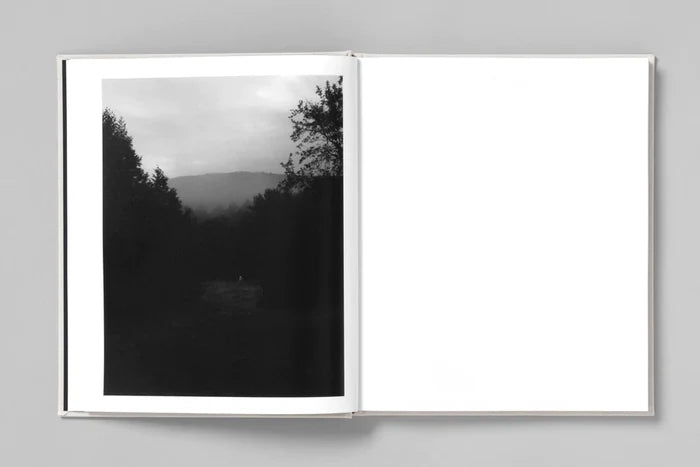 AT NIGHT GARDENS GROW - Paul Guilmoth