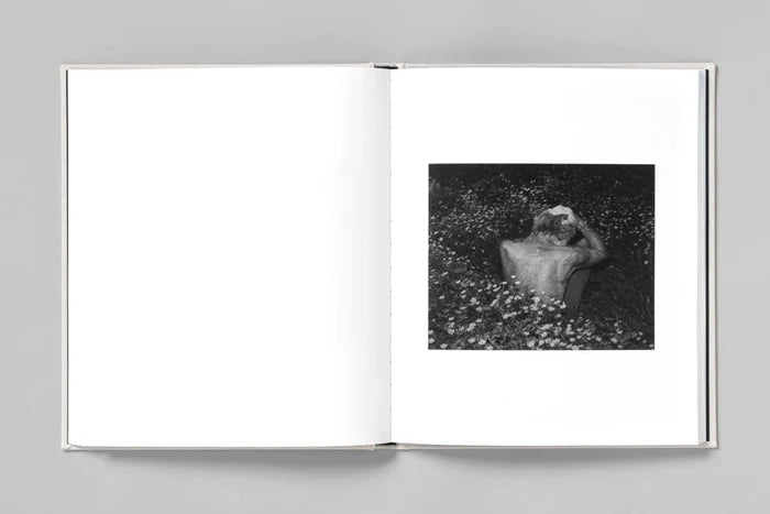 AT NIGHT GARDENS GROW - Paul Guilmoth