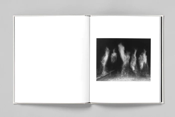 AT NIGHT GARDENS GROW - Paul Guilmoth