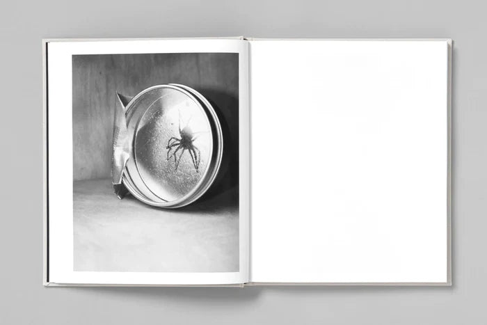 AT NIGHT GARDENS GROW - Paul Guilmoth