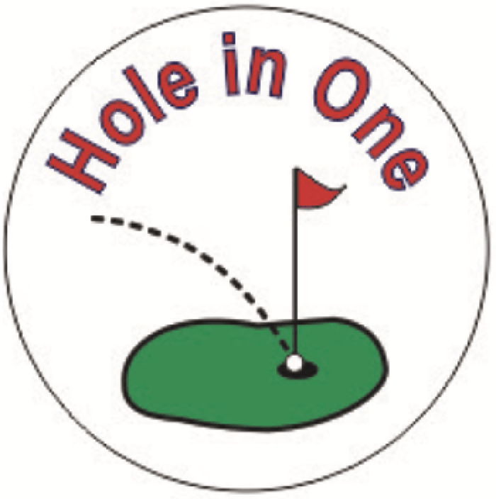 Hole In One