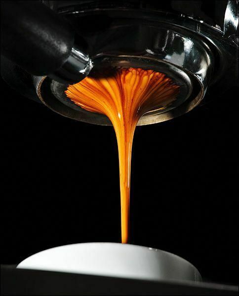 Bfc - Royal Bottomless filter holder - portafilter with a Triple Shot 21g Basket - Coffeesection