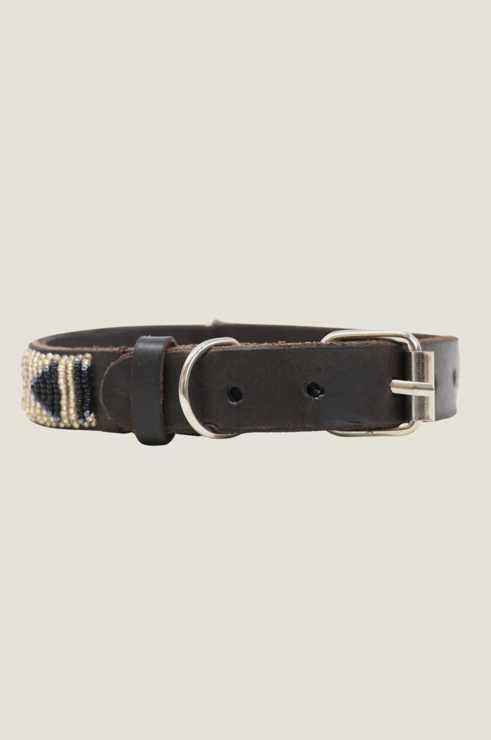 Dog Collar | Arrow Gold/Bullet - Aspiga
