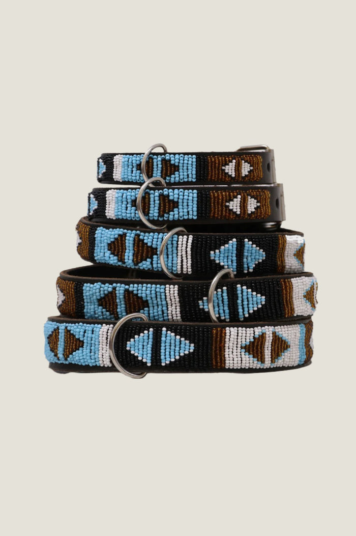 Dog Collar Arrow | Turquoise - Aspiga