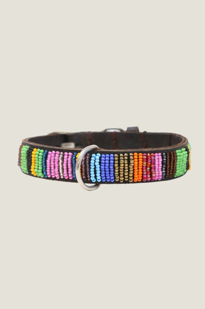Dog Collar | Full Beaded Multishine - Aspiga