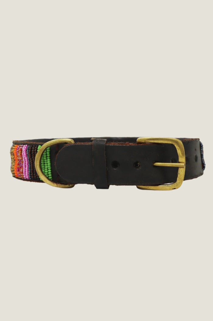 Dog Collar | Full Beaded Multishine - Aspiga