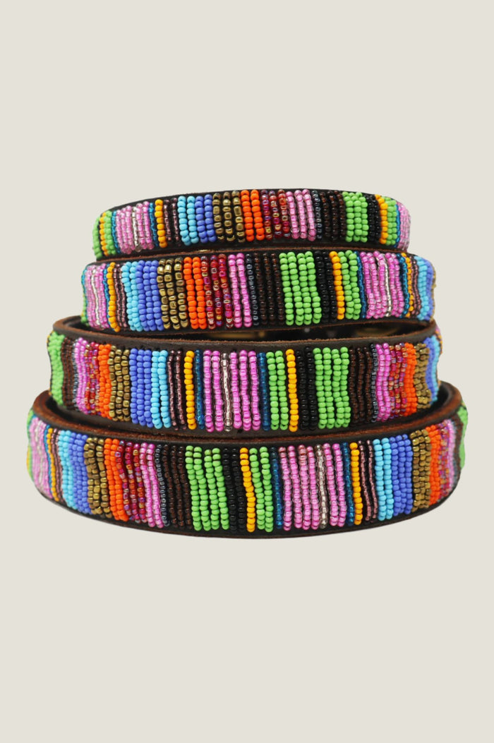 Dog Collar | Full Beaded Multishine - Aspiga