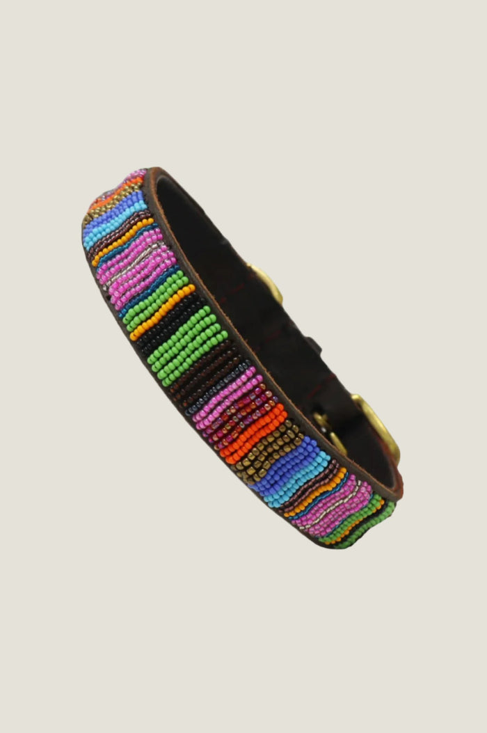 Dog Collar | Full Beaded Multishine - Aspiga