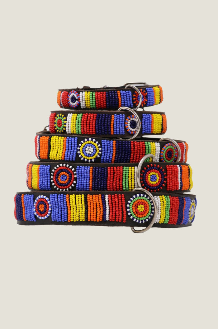 Dog Collar Maasai | Multi - Aspiga