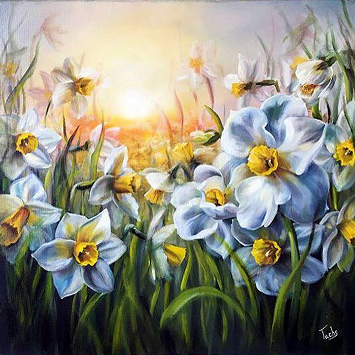 Field of Daisies