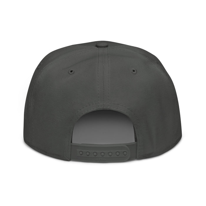 IDEAL Electrical Snapback Hat with Blue Logo