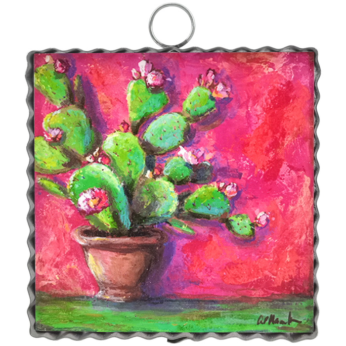 Round Top Print Mini Cactus Pink Potted