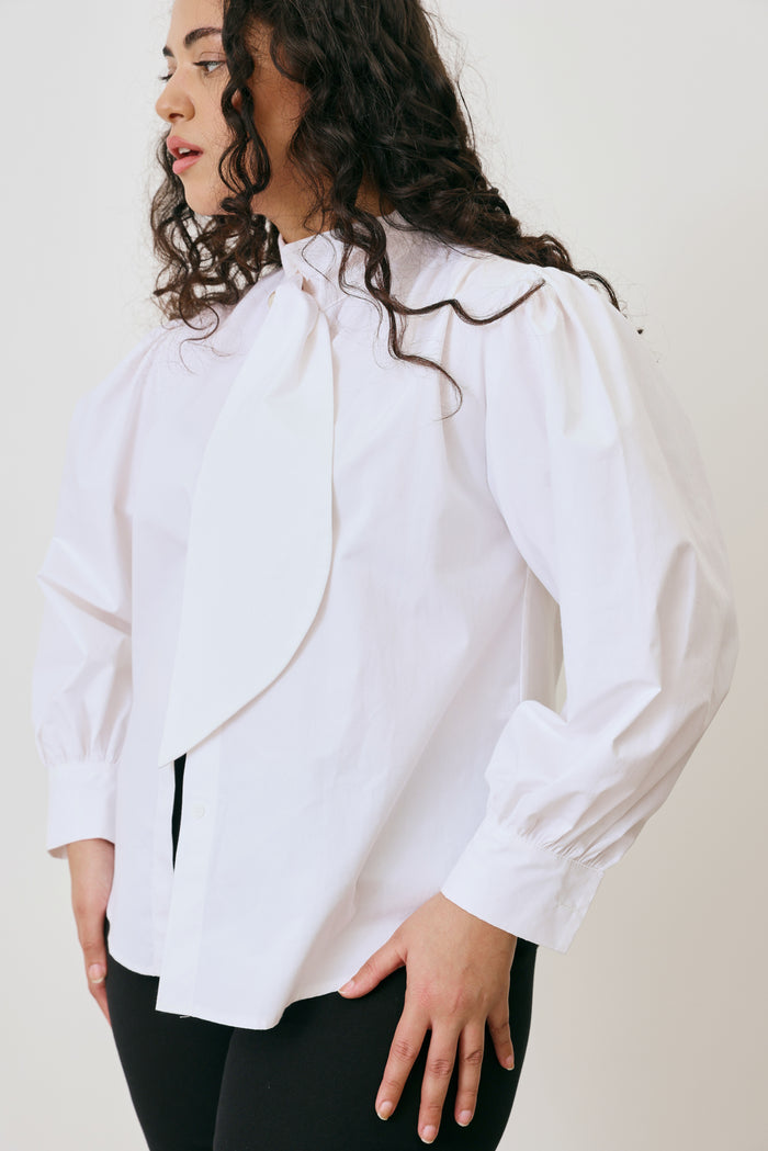 Tie neck blouse shirt