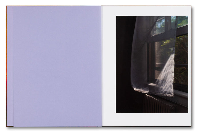 Verdigris / Ambergris - Paul Graham