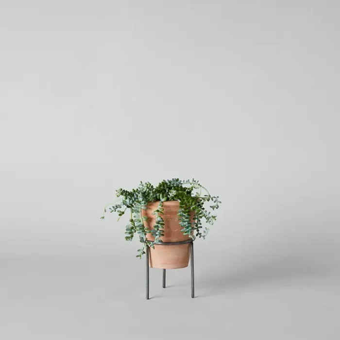 Wrought Iron Planter Stands